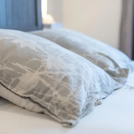 D'hotes Au Bougainvillier 3* Perpinhã