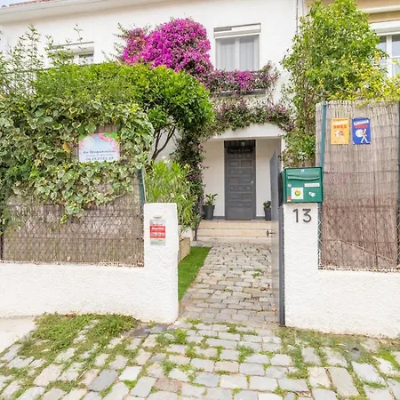 فندق مبيت وإفطار D'hotes Au Bougainvillier بيربينيو